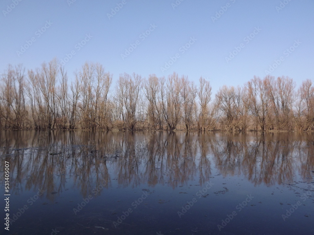 Swampy autumn, sunny landscape. A panoramic view of the marsh in the autumn sunny period of the day. Swampy autumn, sunny landscape. A panoramic view of the marsh in the autumn sunny period of the day.