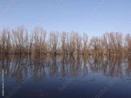 Swampy autumn, sunny landscape. A panoramic view of the marsh in the autumn sunny period of the day.