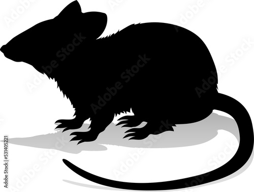Rat Rodent Animal Silhouette