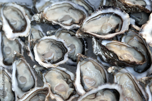 A lot of opened fresh oysters close-up. Healthy seafood. Gourmet and luxury food.