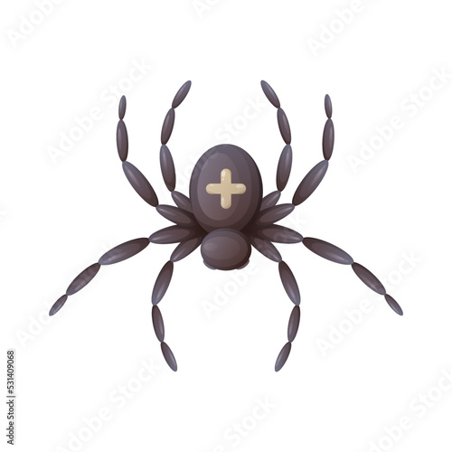 Spider with a cross on its back, top view, cartoon vector illustration