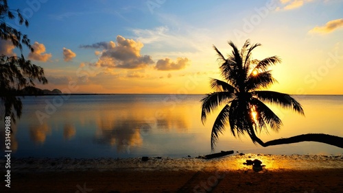 Fototapeta Naklejka Na Ścianę i Meble -  Palm tree lean down face to the sunset