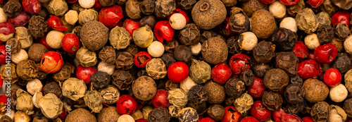 Fotografia A set of various spices close-up as a background