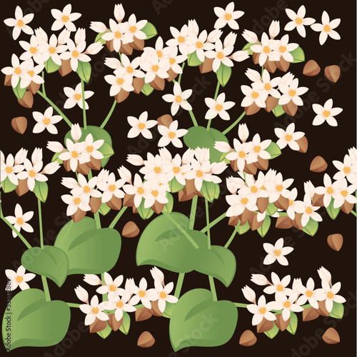 Seamless pattern Buckwheat agriculture plant with blossom flowers and green stem cereal crop vector illustration on brown background