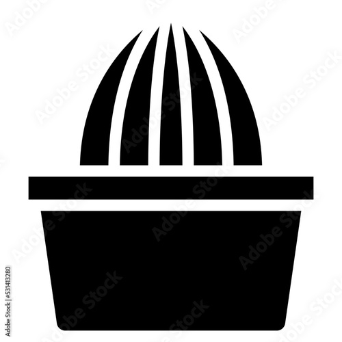 Fruit Juicer Icon