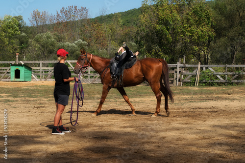 A girl rides a horse to master various elements of horseback riding.