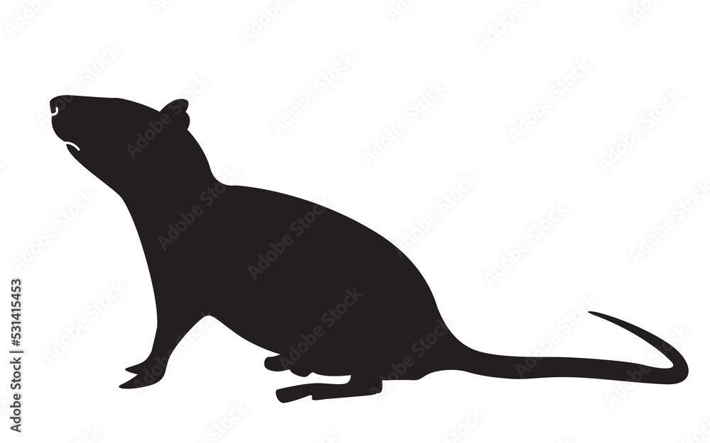 Mouse animal icon vector design template.Rat silhouette logo. black mouse symbol vector.
