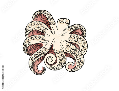 Octopus cartoon sea animal design vector illustration isolated on white background