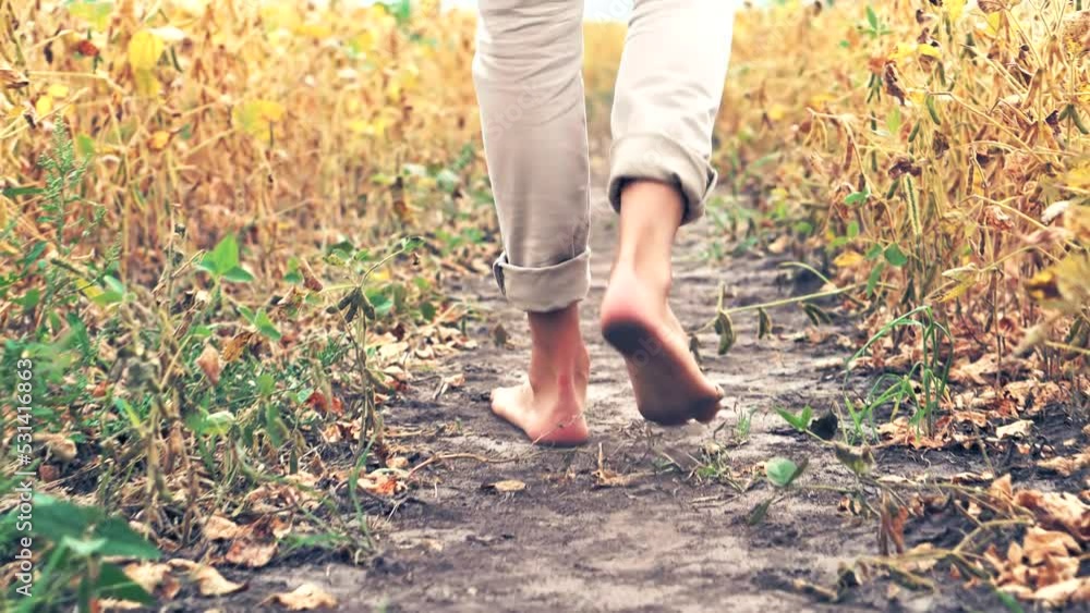Feet Walk On Field. Bare Feet Soiled With Ground. Naked Legs Walking On Soil. Agriculture Farmer Feet Walks. Man Barefoot Walking On Ground. Recreation And Relaxation Step. Naked Legs Walking On Soil Feet Walk On Field. Bare Feet Soiled With Ground. Naked Legs Walking On Soil. Agriculture Farmer Feet Walks. Man Barefoot Walking On Ground. Recreation And Relaxation Step. Naked Legs Walking On Soil