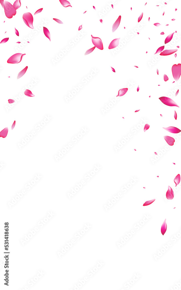 Delicate Lotus Beauty Vector White Background.