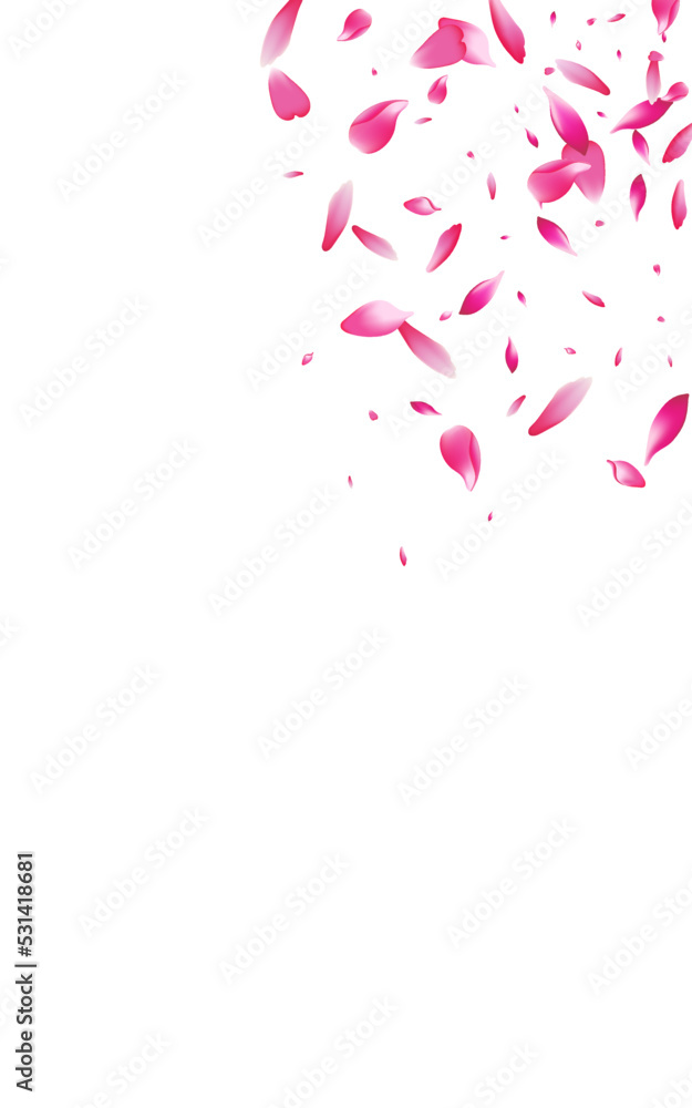 Beautiful Blossom Falling Vector Transparent Beautiful Blossom Falling Vector Transparent