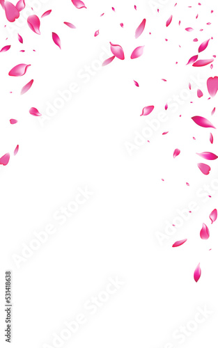 Delicate Lotus Beauty Vector White Background.