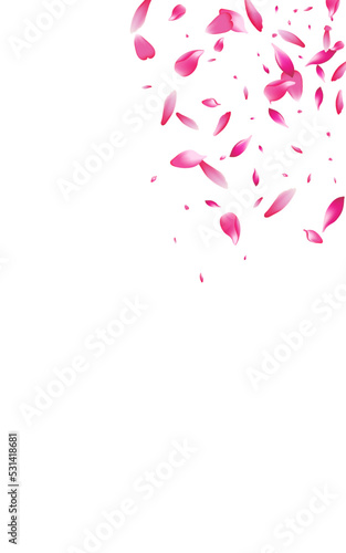 Beautiful Blossom Falling Vector Transparent