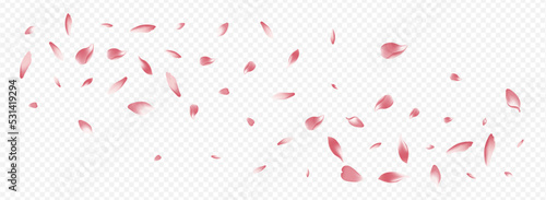 Pink Heart Vector Panoramic Transparent