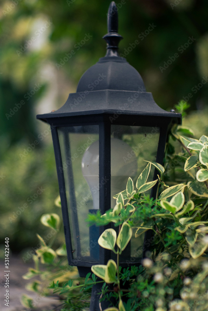 A lantern surrounded by greenery