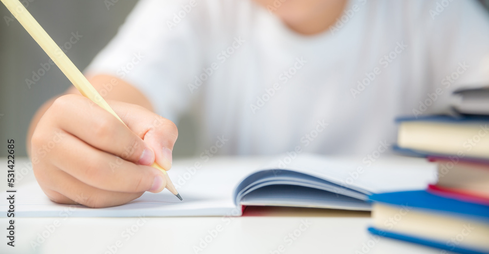 Boy person sitting study indoor at home, Male kid student online learning and doing homework on desk, young child reading and writing a book on table. concept of education, technology cyberspace Boy person sitting study indoor at home, Male kid student online learning and doing homework on desk, young child reading and writing a book on table. concept of education, technology cyberspace