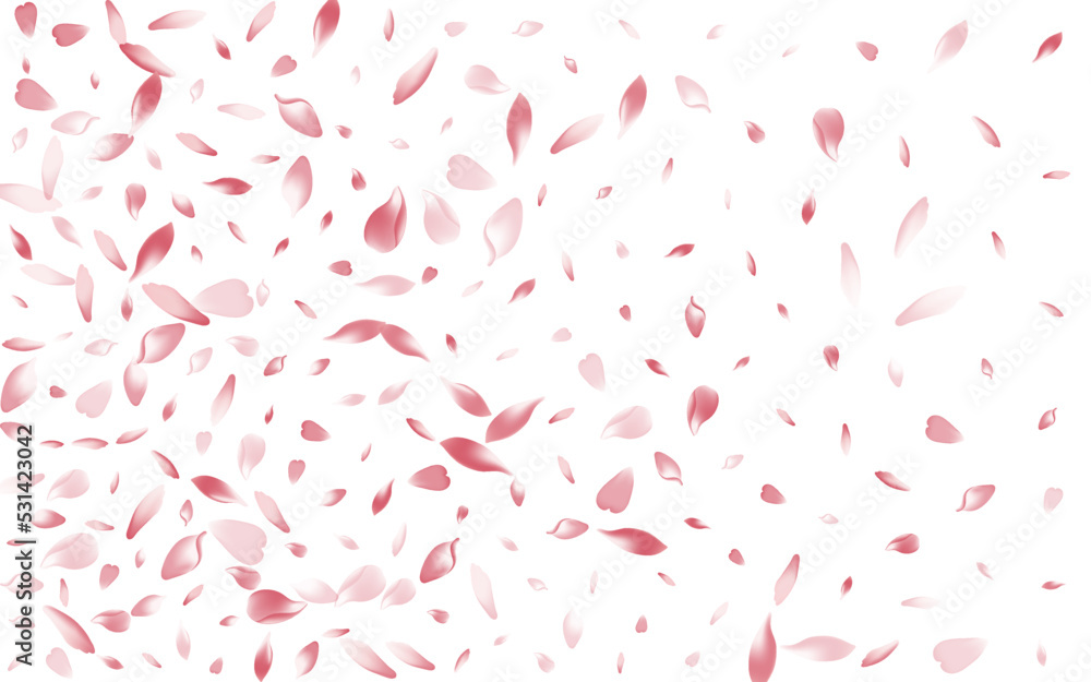 Pink Sakura Petal Vector White Background.