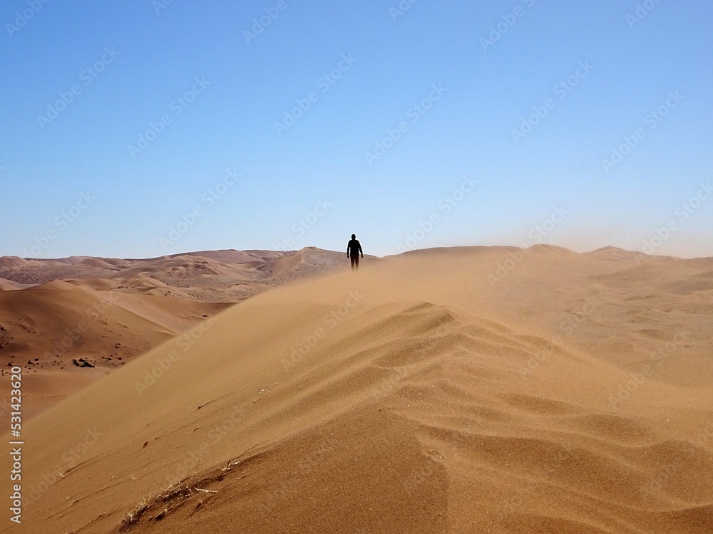 lone man walking on top of a sand dune in the Namib desert in Namibia