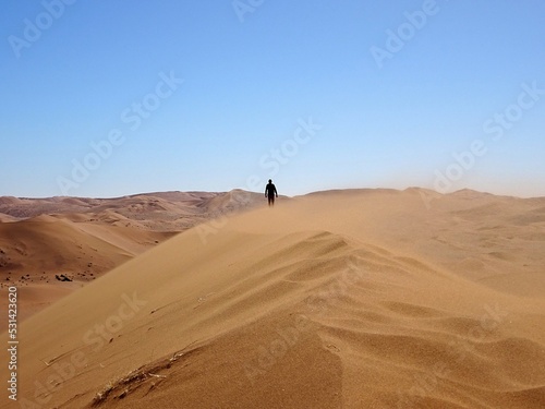lone man walking on top of a sand dune in the Namib desert in Namibia