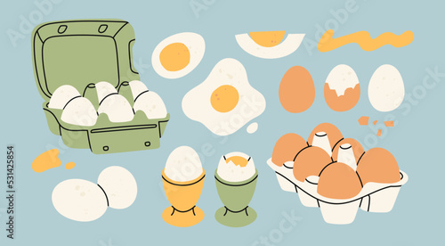Chicken Eggs in carton boxes, boiled and fried eggs. Eggs with and without shell. Breakfast, organic farm food concept. Poultry production. Hand drawn Vector illustration. Isolated elements