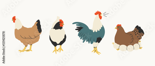 Domestic Chicken set. Different hens, rooster, eggs in nest. Various breed. Farm birds, Easter, organic eco food concept. Design elements. Cute farm animals. Hand drawn Vector illustration