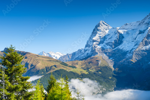 Mountains peaks, forest and meadow. Mountain range and clear blue sky. Swiss landscape in the summertime. Large resolution photo.