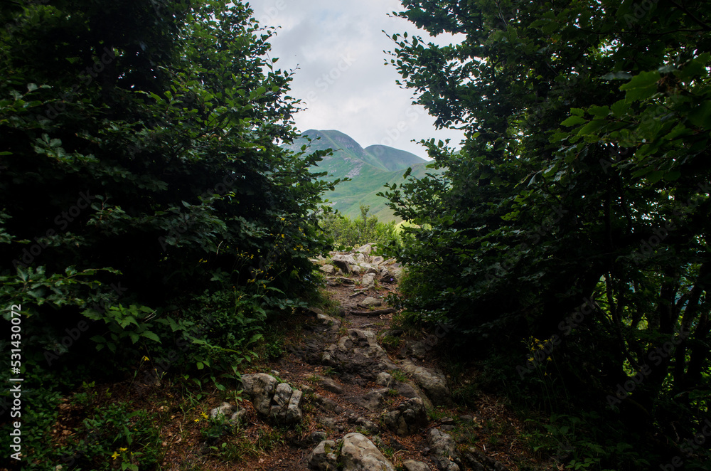 Un sentiero esce dal bosco sulle montagne dell’Abetone in Toscana