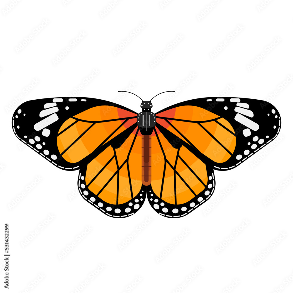 MONARCH BUTTERFLY vector png eps svg Stock Vector | Adobe Stock