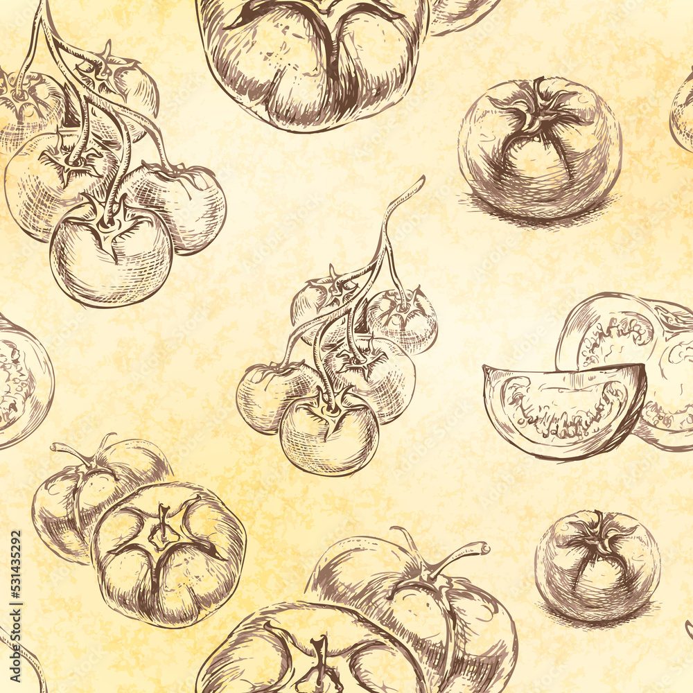 Sketches of tomatoes in classic engraved style on old vintage paper, seamless pattern