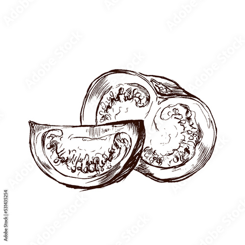 Brown sketch of couple sliced tomatoes in classic engraved style isolated on white