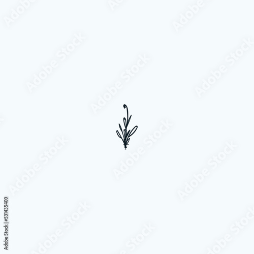 Hand drawn abstract imaginary plant