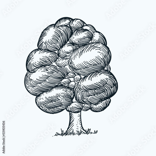 Hand drawn abstract imaginary plant