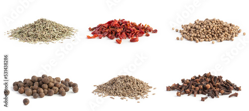Slides of spices isolated on white background