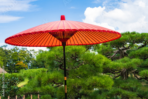 日本庭園の野点傘
