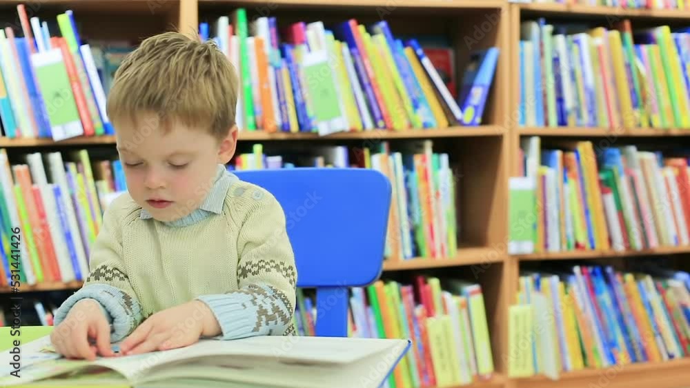 A little boy in the library is leafing through a children's picture book with interest. A small child is drawn to knowledge. A little boy in the library is leafing through a children's picture book with interest. A small child is drawn to knowledge.