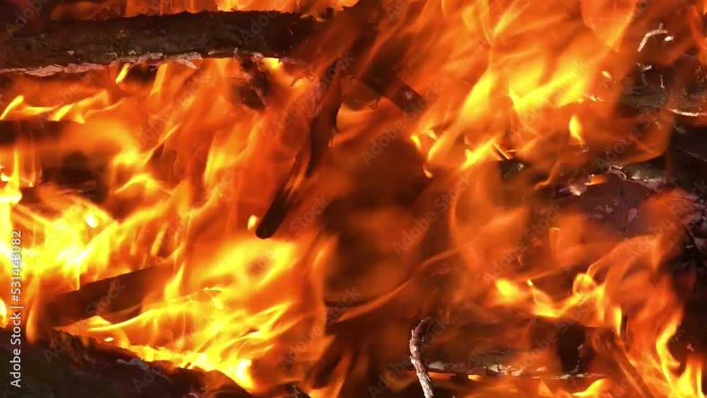 Bonfire close-up. fire close-up. Log fire close-up Bonfire close-up. fire close-up. Log fire close-up