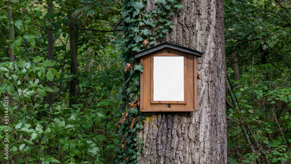 Ein Schild angebracht an einem Baum im Wald mit Textfreiraum.