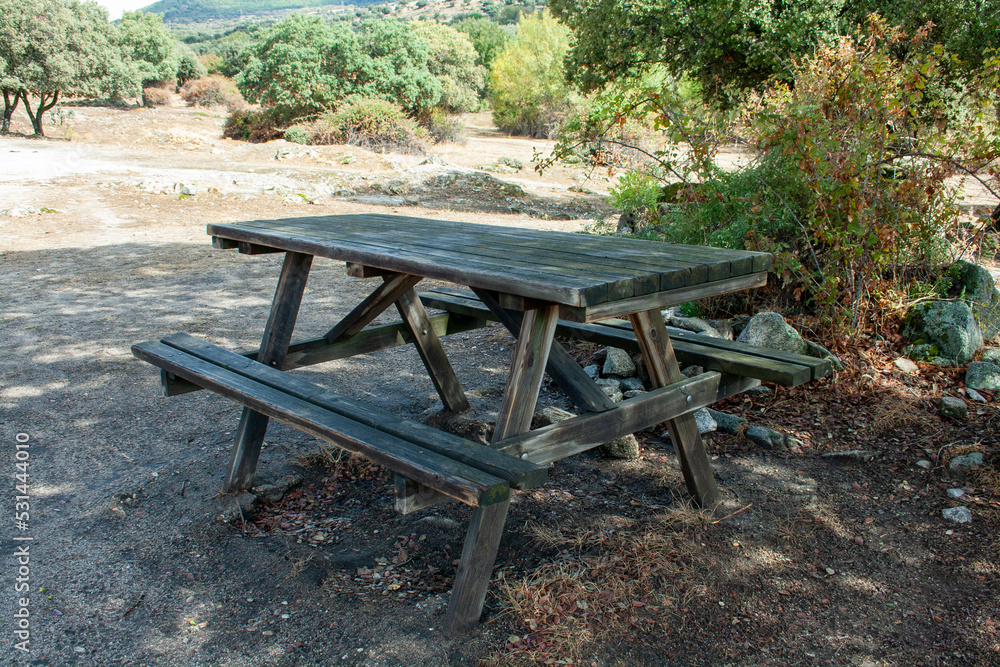bench in a picnic area bench in a picnic area