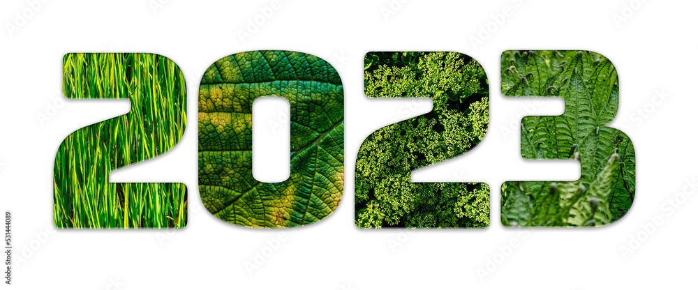 Jahreszahl 2023 mit grünem Naturmuster