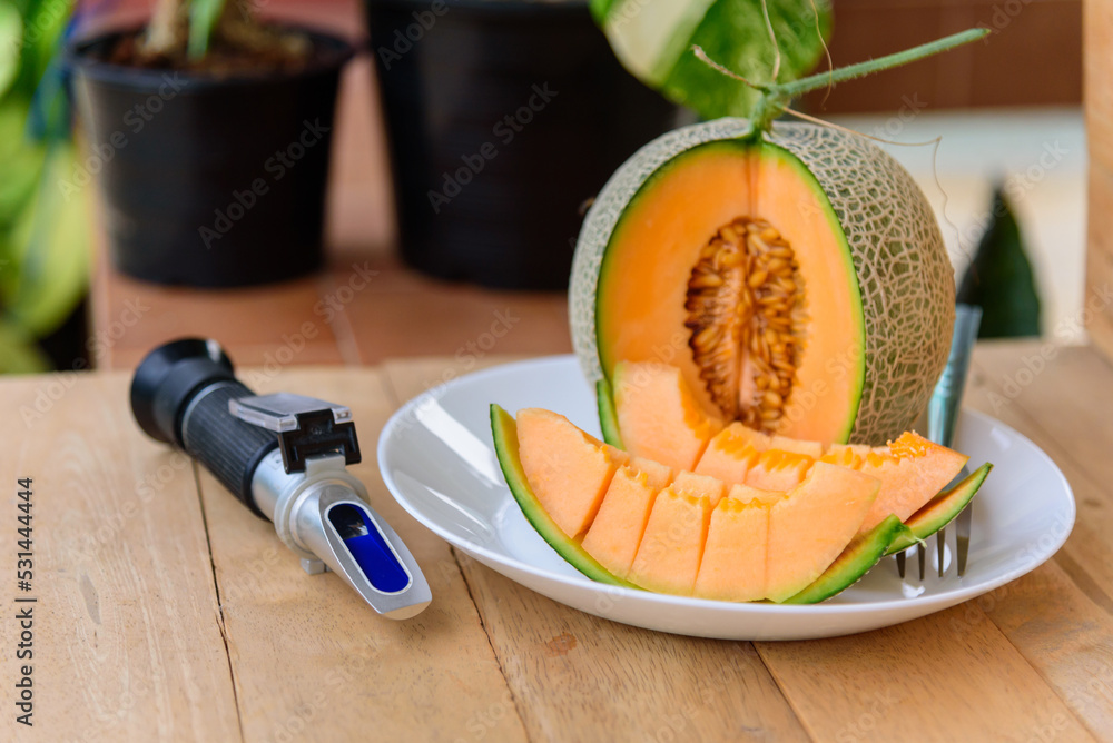piece of fresh orange melon on the plate piece of fresh orange melon on the plate