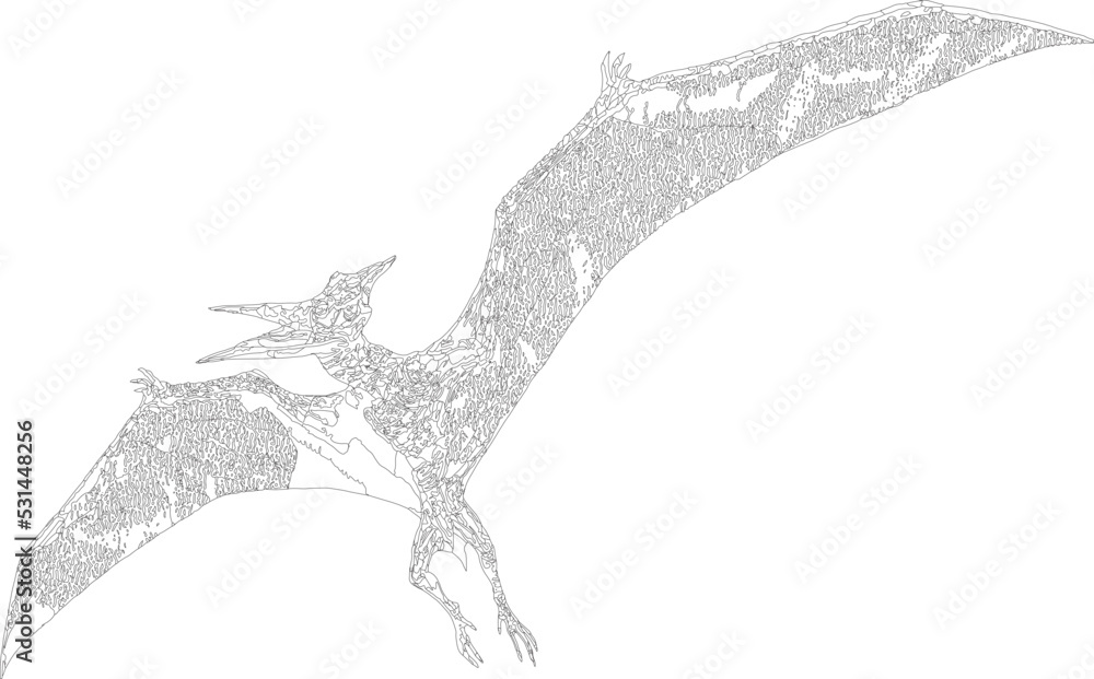 Vector illustration to draw mandala style pterodactil
