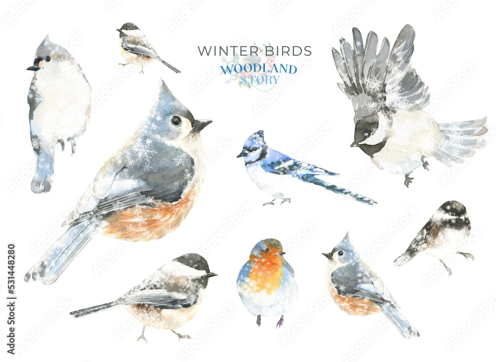 Fototapeta premium Watercolor squirrel,mouse,bird, Christmas illustration. Woodland winter forest nursery decoration for greeting card, poster, invitation, baby shower Merry Christmas,New Year print, sticker, diy