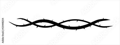 Thorn branch or vine. Natural intertwined pattern. Element of tattoo with spike