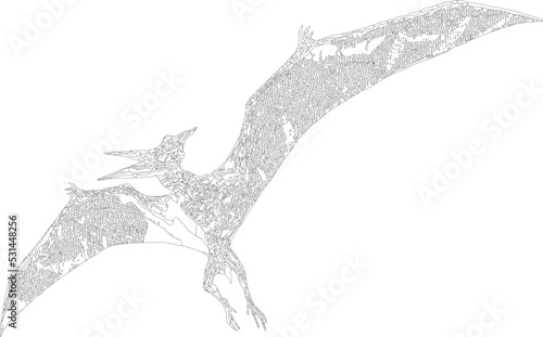 Vector illustration to draw mandala style pterodactil
