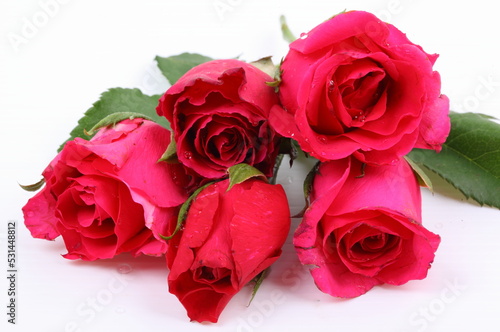 Red rose isolated on white background.