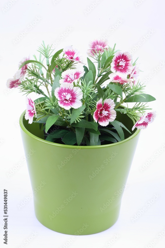 The artificial flower in the pot on white background The artificial flower in the pot on white background