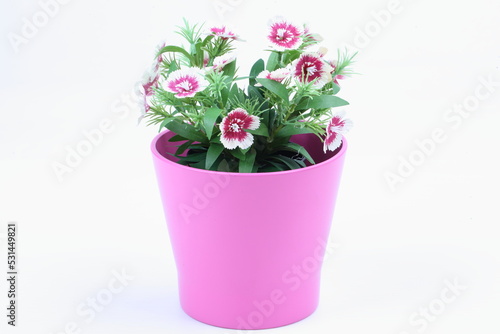 The artificial flower in the pot on white background
