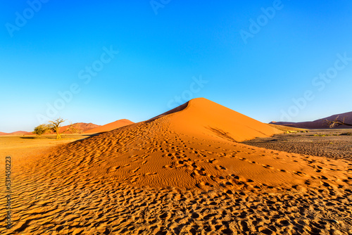 Dune 45 at Sossusvlei, Namibia, Africa