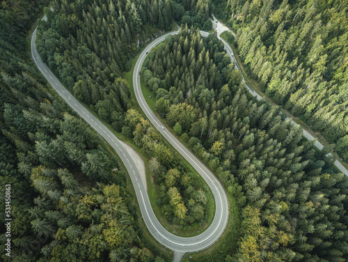 Straße im Schwarzwald