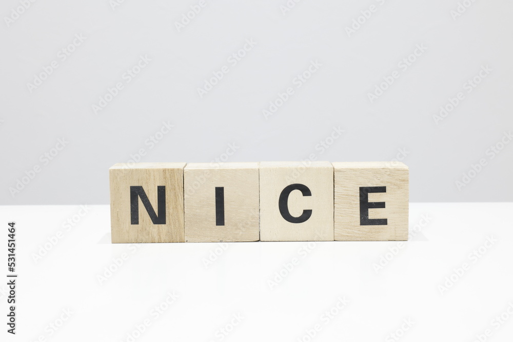 NICEロゴ NICEロゴ